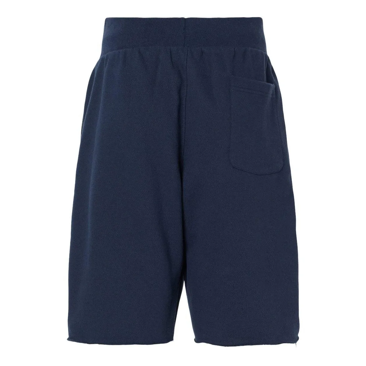 Champion Reverse Weave Shorts