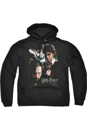 Harry Potter Harry And Sirius Adult Pull Over Hoodie / Hooded Sweatshirt