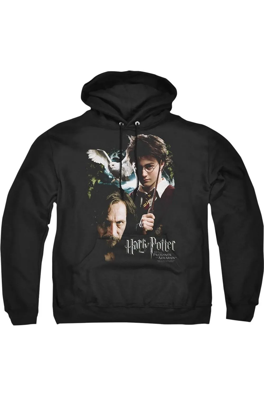 Harry Potter Harry And Sirius Adult Pull Over Hoodie / Hooded Sweatshirt