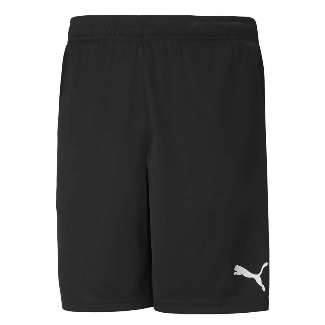 Puma - Men's Teamrise Training Shorts (657336 03)
