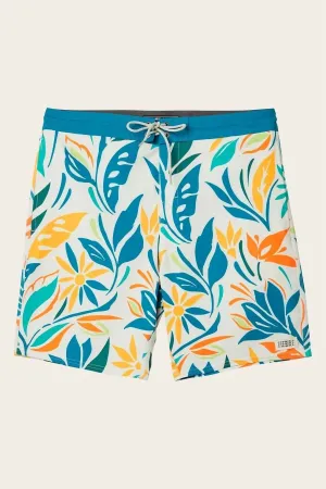 Sol Cruzer Boardies In Multi